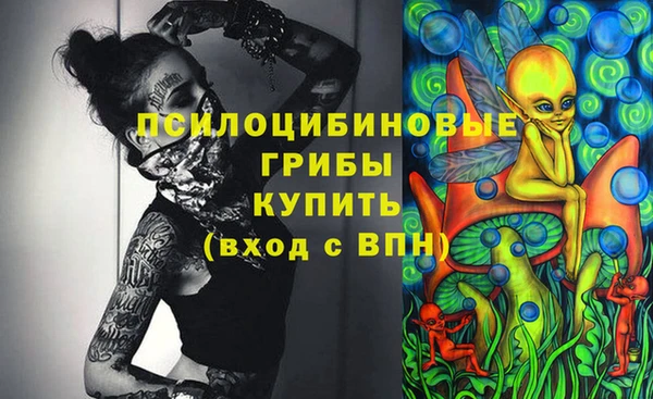 ПСИЛОЦИБИНОВЫЕ ГРИБЫ Балахна