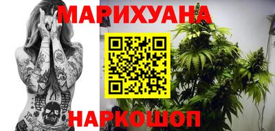 шишки Бийск