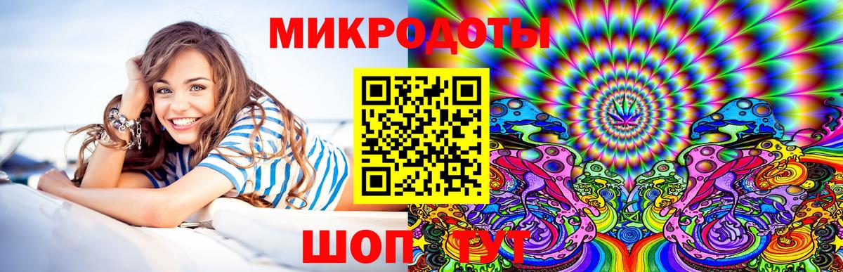 Псилоцибиновые грибы Psilocybe Дальнереченск