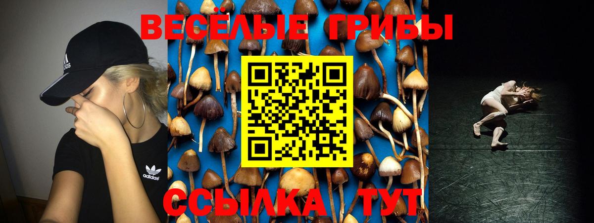Псилоцибиновые грибы Psilocybe Дальнереченск